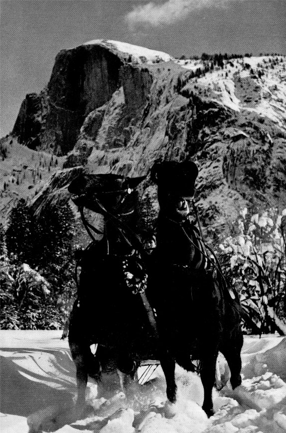 Horses in Snow by Ansel Adams