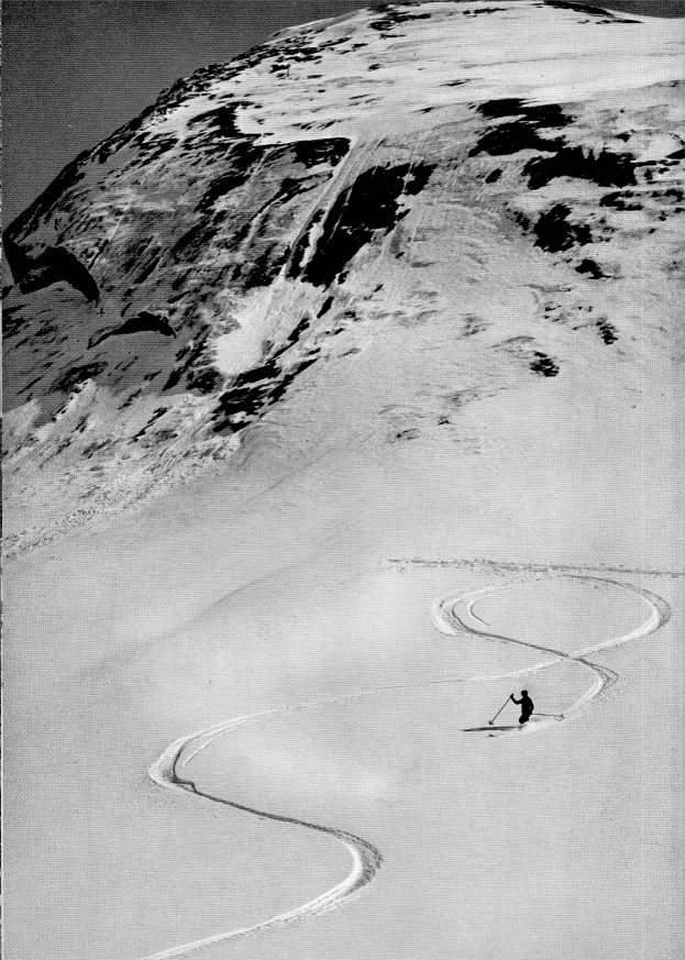 Skiing Down
by Ansel Adams