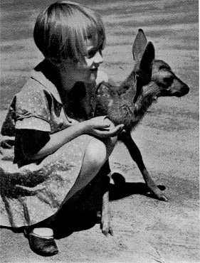 Spotted Fawns
by Ansel Adams