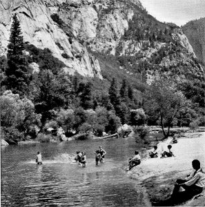 Summer by Ansel Adams