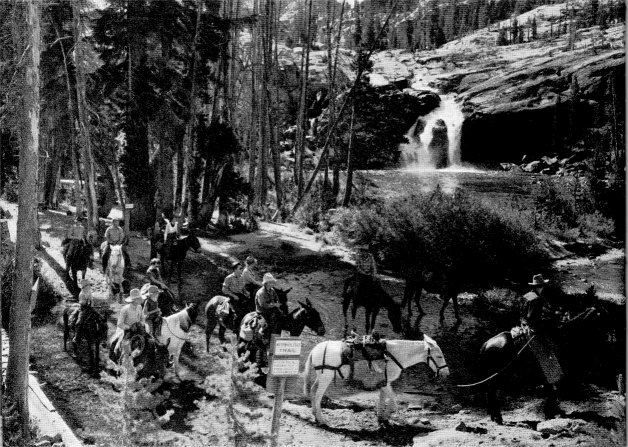 White Cascade by Ansel Adams