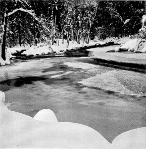 Winter by Ansel Adams