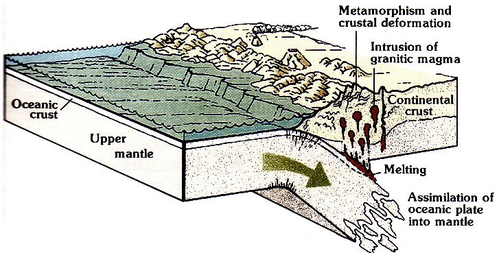 continental plate