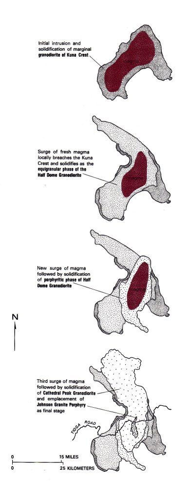 Evolution of the Tuolumne intrusive suite