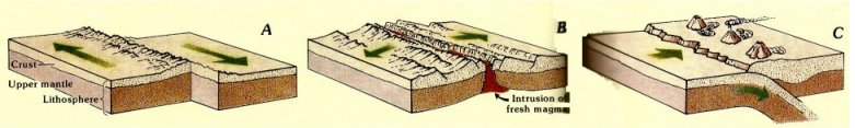 Three principle kinds of plate motion