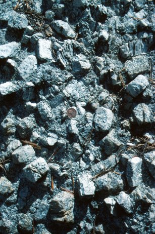 Resistant potassium feldspar phenocrysts