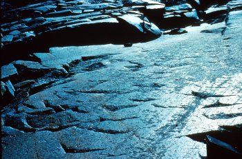 Imprints on the rock: glacial polish and striations