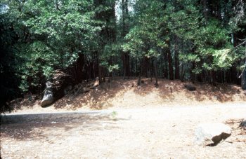 Glacial moraines in Yosemite Valley: Tioga-age terminal moraine