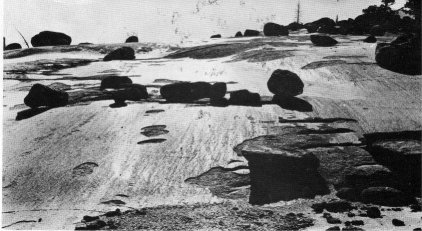 Glacier polish and glacier-transported boulders.