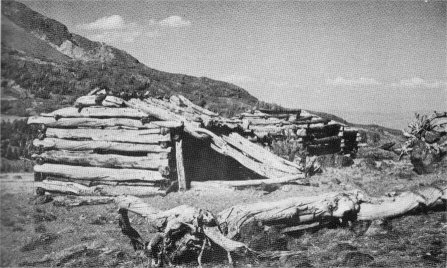 GOLDEN CROWN CABINS, MONO PASS