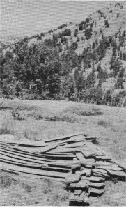 OLD LUMBER BETWEEN DANA AND GIBBS