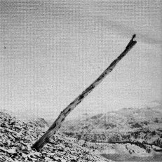 OLD POLE ABOVE SADDLEBAGS LAKE