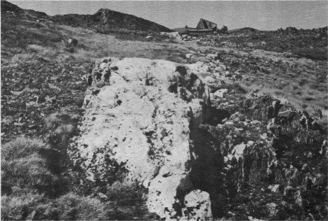 OUTCROP ON THE “THE GREAT SILVER BELT”, TIOGA HILL