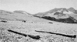 PAIR OF POLES ARE WEATHERING SIDE BY SIDE