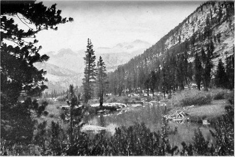 Lyell Canyon with Mount Lyell and its Glacier several miles distant