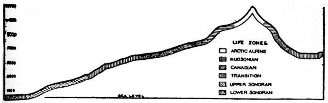 Life zones on cross-sectional profile of Yosemite National Park