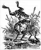 Pom-pom-pa-sa! ['Leaping frogs!'—The Three Brothers]