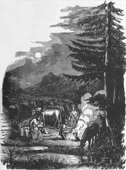 The pack-train at night.