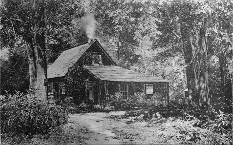 Hutchings’ old log cabin. Yo Semite.