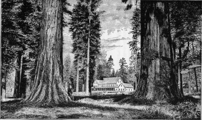 The Calaveras Big Tree Grove Hotel.