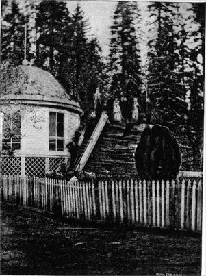 Trunk of Big Tree, and pavilion.
