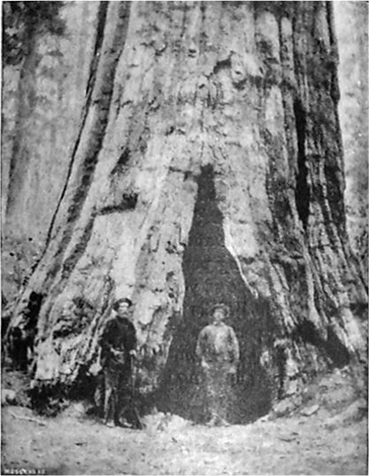 Smith’s Cabin.