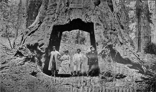 The Dead Giant (31 feet in diameter)