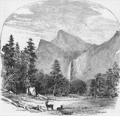 Distant view of the 'Pohono,' or Bridal Veil Fall.
