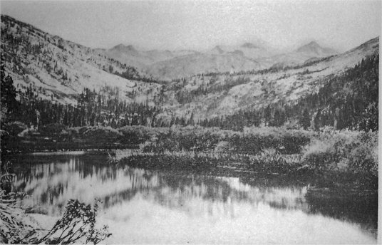 Mount Lyell and its living glacier, from Tuolumne Meadows.