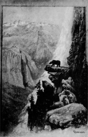 In the Heart of the Sierras.