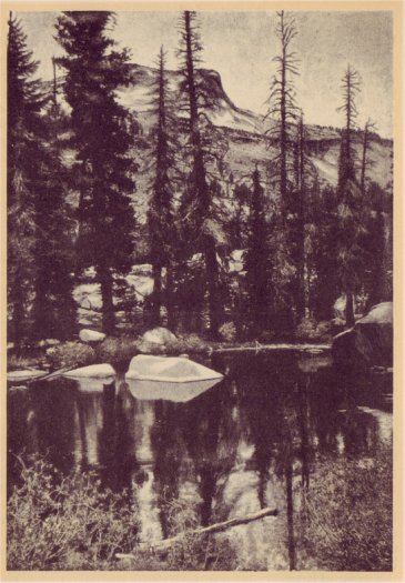 One of the Black Pools along the Tioga Road, Mt. Hoffman in the background, and its reflection. PHOTO BY F. J. TAYLOR