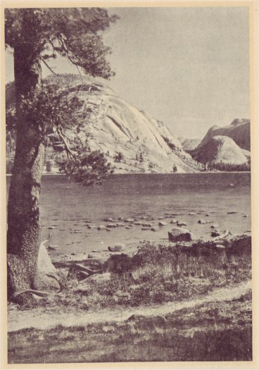 A camp on the shores of Lake Tenaya, 8,146 feet above sea level. PHOTO BY F. J. TAYLOR