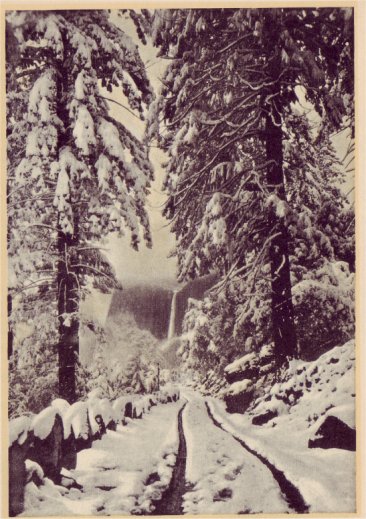 Down the Wawona Road into Yosemite when the trees display their winter finery. PHOTO BY A. C. PILLSBURY