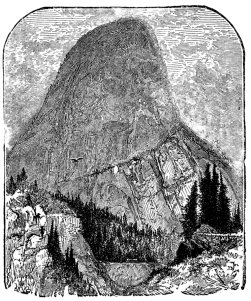 Cap of Liberty (Liberty Cap)