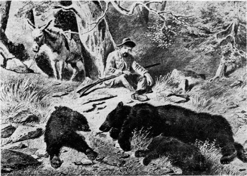Indiscriminate hunting exterminated the grizzly in California.