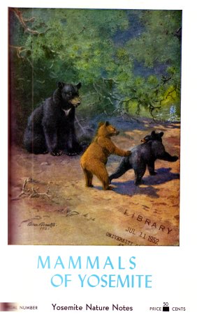 Cover Illustration: Sierra Black Bear.