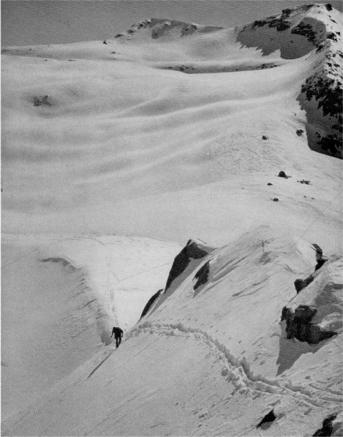 Slopes of Alta Peak. winter. By David Brower