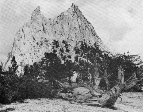Cathedral Peak. Yosemite. By Philip Hyde