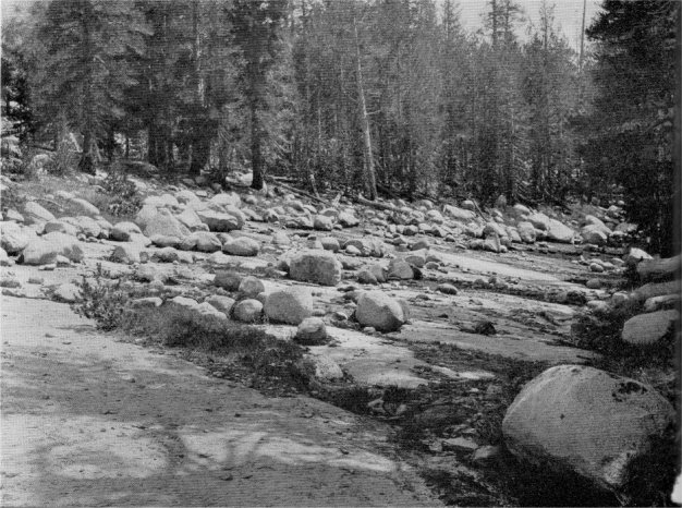 Glacial boulders deposited on glacial-polished floor near the trail to Merced Lake. By G. J. Young