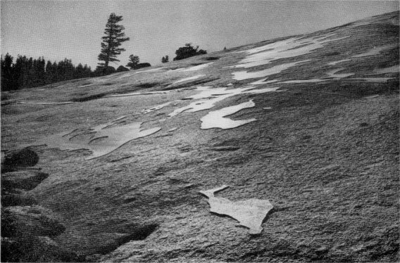 Glacier polish, head of Tenaya Canyon. By David Brower