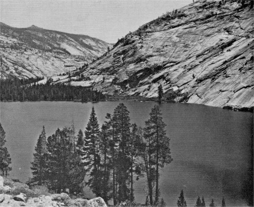 View diagonally across Merced Lake. showing exfoliating cliffs on the south side, the forested delta of the river at the head of the lake, and part of the Merced Canyon above. Yosemite National Park, California. By François Matthes