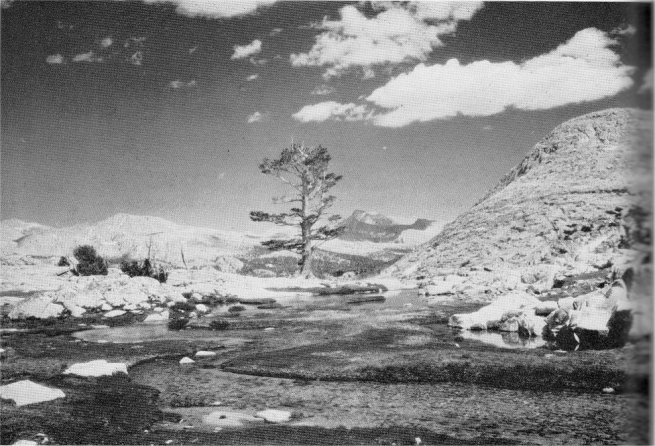 Milestone Basin with Mount Whitney in the distance. By Walter L. Huber