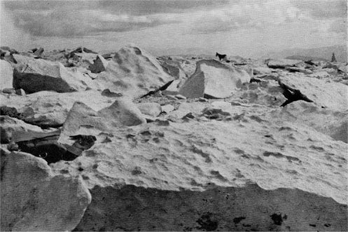 Wasting blocks of aplite. summit of Mount Whitney. By Franois Matthes