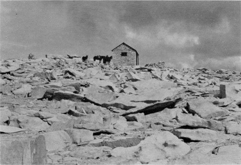 House on Mount Whitney and frost-heaved blocks of aplite. By Franois Matthes
