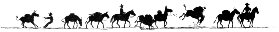 pack train