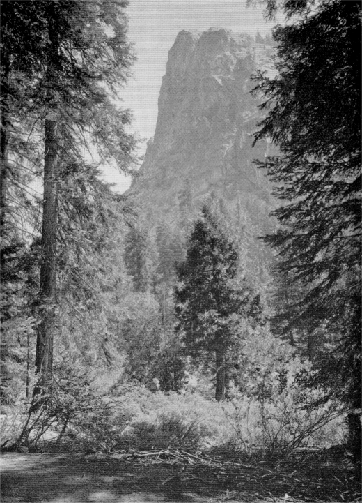 The Watchtower, Tokopah Valley. Sequoia National Park, California. Courtesy George Mauger, Sequoia and Kings Canyon National Parks Company