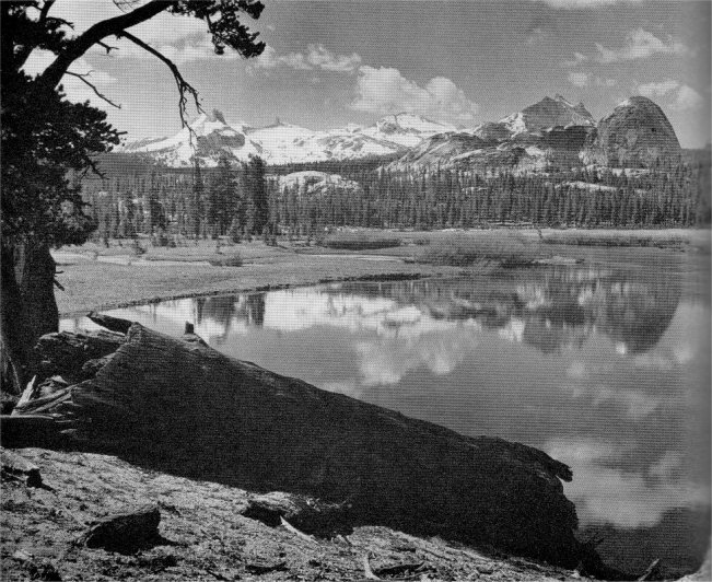 Tuolumne Meadows. Yosemite. By Cedric Wright