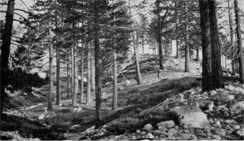 Looking up the crest of the winding embankment. The summit of Moraine Dome lies to the left.