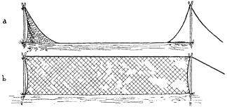 Fig. 26.--a, duck trap, set. b, trap raised upon approach of birds.
