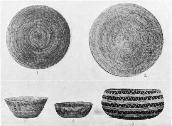 Coiled baskets of multiple-grass foundation.